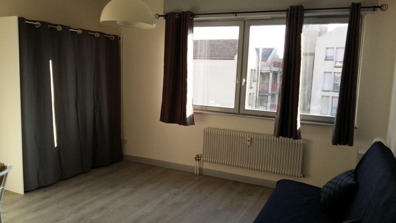 Studio De L'Est Appartement Colmar Buitenkant foto